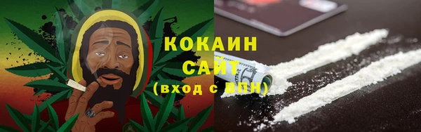 индика Алзамай