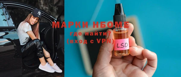 индика Алзамай