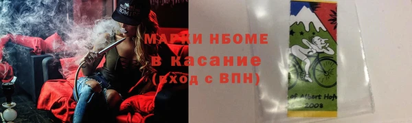 индика Алзамай
