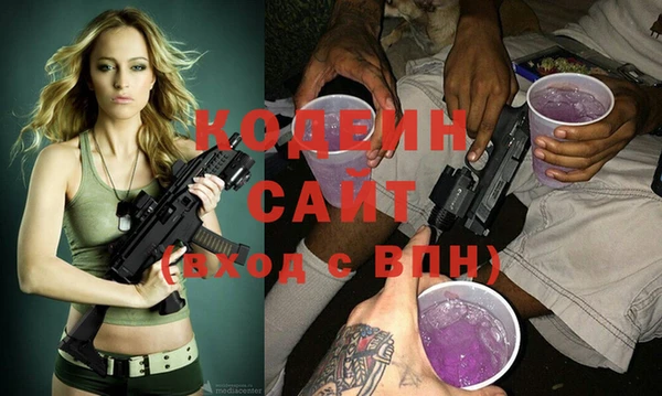 индика Алзамай