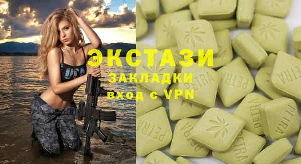 индика Алзамай