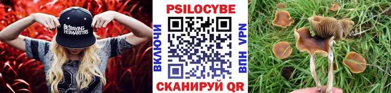 закладки  Невьянск  гидра вход  Псилоцибиновые грибы GOLDEN TEACHER 